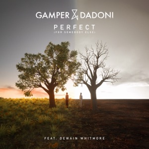 Perfect (For Somebody Else) [feat. Dewain Whitmore] - Single