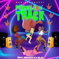 Ponmelo pa track - Single - Rubirosagucci