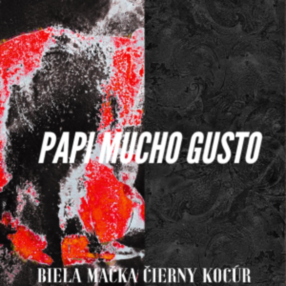 Biela Mačka Čierny Kocúr - Single by Papi Muchogusto on Apple Music