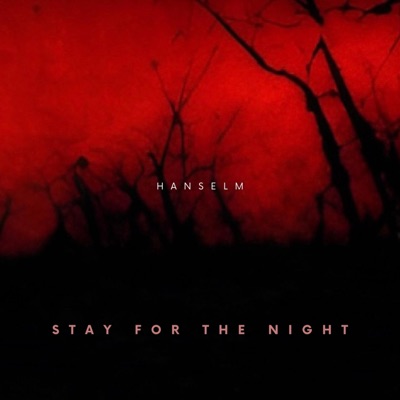 STAY FOR the NIGHT (feat. Musta hanhi) - Single