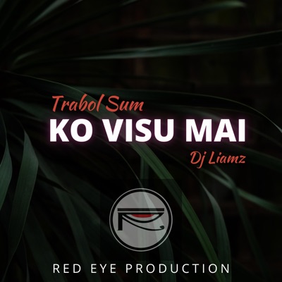 Ko Visu Mai - Single