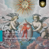 Partia Terza à Violino Solo senza Basso, BWV1006: II. Loure song art