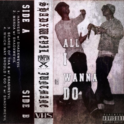 ALL I WANNA DO MIXX (feat. SHADXWEVIL) - Single