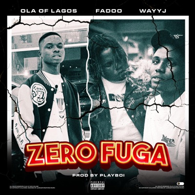 Zero Fuga (feat. Waayj & Ola Of Lagos) - Single