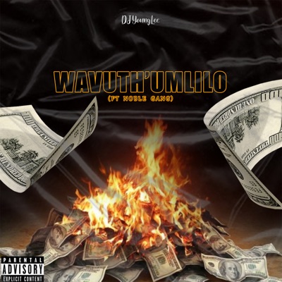 Wavuth'umlilo (feat. Noble Gang) - Single