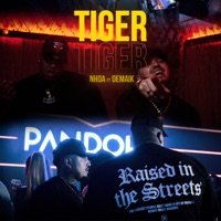Tiger - Single - Demaik & El Nhoa