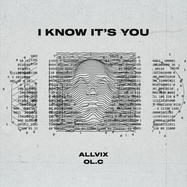 I Know It's You - Single