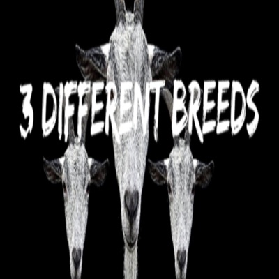 3 Differnt Breeds (feat. 3xBam) - Single