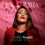 En La Lucha Covers, Vol. 5