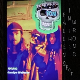Fallen In the Wrong Spot (feat. OneEye Webster) DeadTom