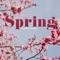 Spring Awakening - Instrumental Piano Universe lyrics