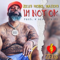 I'm Not Ok - Single - Zeus Rebel Waters
