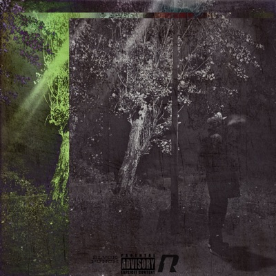 In The Night - Single