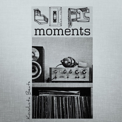Lo Fi Moments