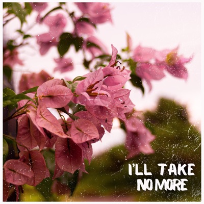 I'll Take No More (feat. NOLAN & ALFHEIM) - Single
