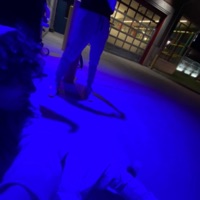 see me (feat. Dutchboy) - Single - O2andres