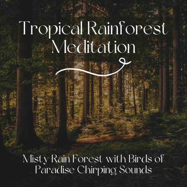 Tropical Rainforest Meditation - Misty Rain Forest with Birds of Paradise Chirping Sounds