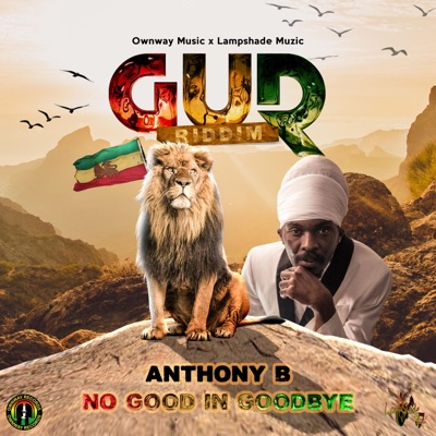 Anthony B & Lampshade Muzic