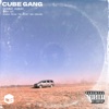 CUBE GANG