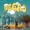 Pegao - Single, 2024