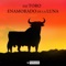 La Luna y el Toro - El Matador lyrics