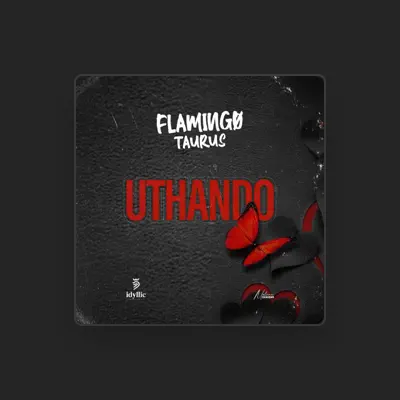Listen to Flamingo Taurus, watch music videos, read bio, see tour dates & more!