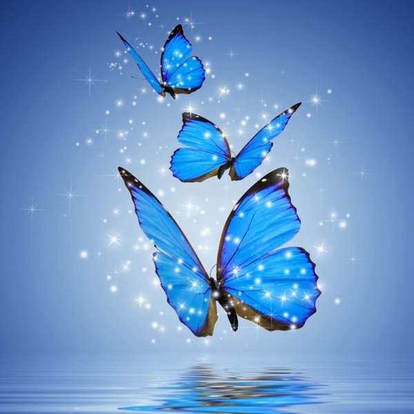 Cover of Dreams - Single