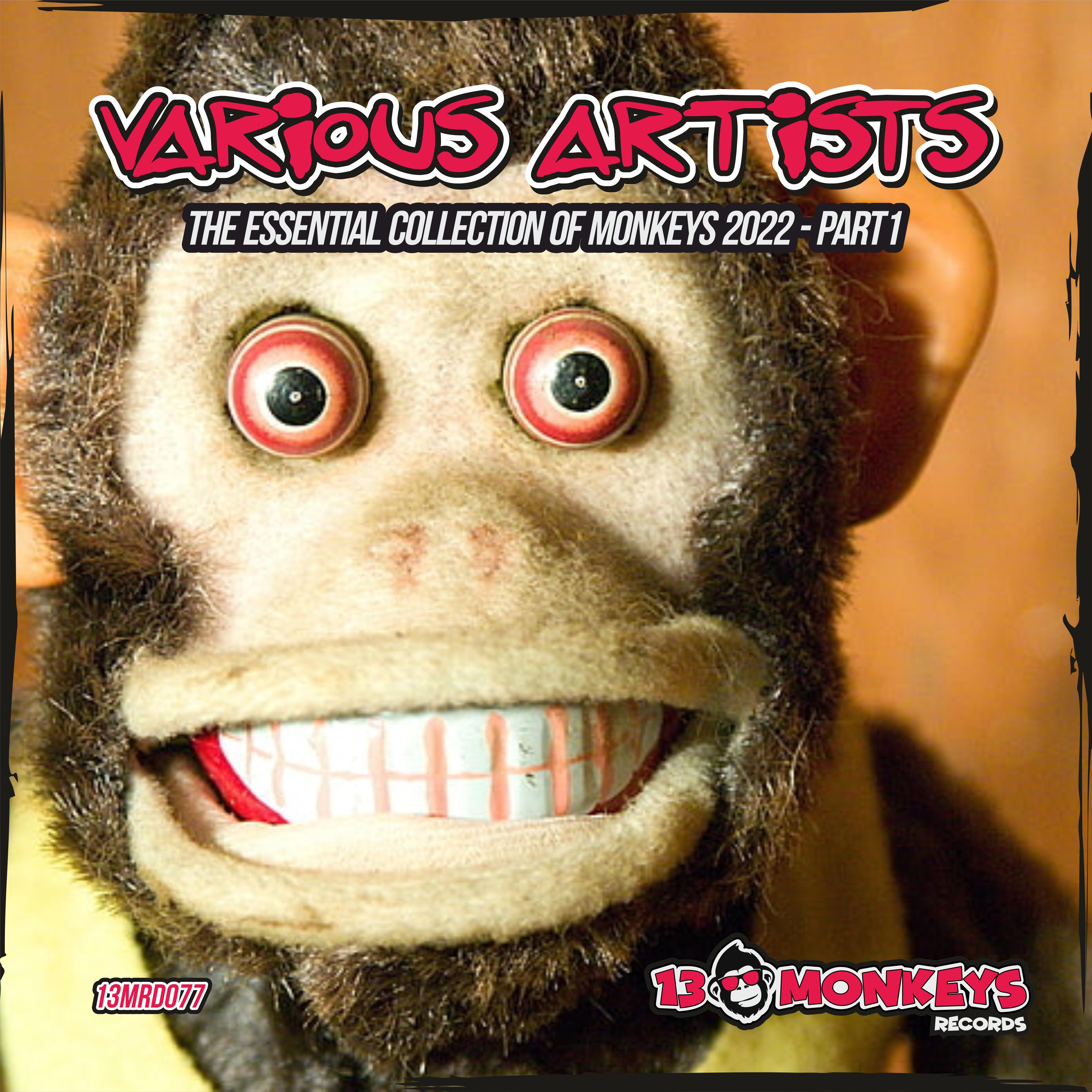 The Essential Collection of Monkeys 2022 - Part1