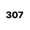 307 (feat. Mack Meezyy, Big Caash & Q On Point) - MeezyMainee lyrics