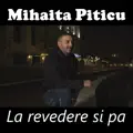 La revedere si pa