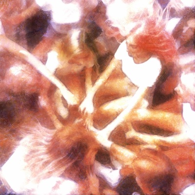 High (feat. N_D_G) - Single