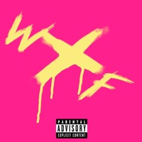 Wtf Am I Doing Here - Single - DAMNMIKE