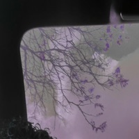 My Name (feat. pure) [Remix] - Single - sxgey