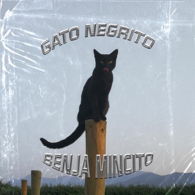 Gato Negrito - Single