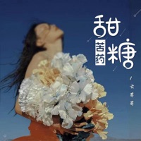 甜糖苦藥 (DJ楓葉版) - Single - Yun Fei Fei