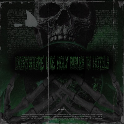 Everywhere Like Bibles In Hotels - Single