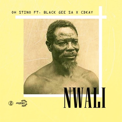 Nwali (feat. Black Gee SA & CdKay) - Single