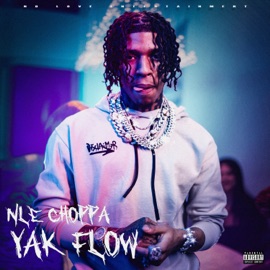 Yak Flow NLE Choppa