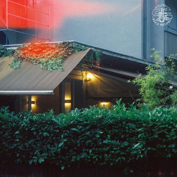 Distilled Memory - Single