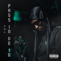 Pass In De 16 - Single - YNS