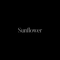 Sunflower - Single - Night to Lie