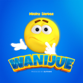 Wanijue - Micky Singer