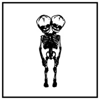 BACKBONE / GET IT BACK - Single - PLEASANT BOYS