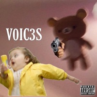 V0ic3s - Single - LilG30