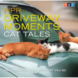 NPR Driveway Moments Cat Tales : Radio Stories That Won't Let You Go (NPR Driveway Moments)