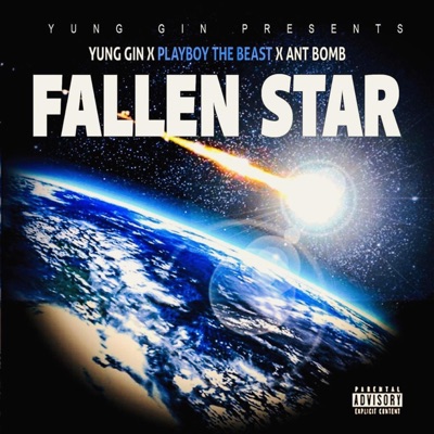 Fallen Star - Single