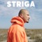 Striga (feat. Inna) [Radio Version] artwork