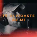 TE OLVIDASTE DE Mi