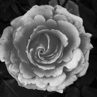 Thinkin' of You Again - Single