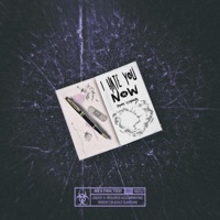 I Hate You Now - Single - Lexnour